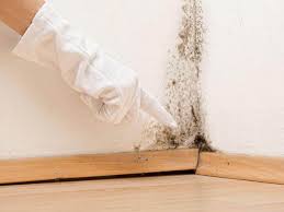 Best Real Estate Mold Inspection  in Dobson, NC